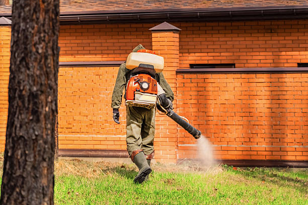 Trusted Termite Control service in Fellsmere, FL - Nex Pest Control